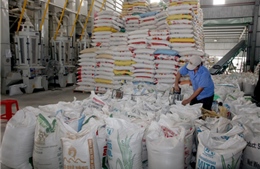 Xuất khẩu gạo sẽ khởi sắc?